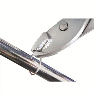 Glise pens jwenti